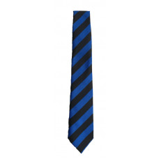 Biggar High School TIE
